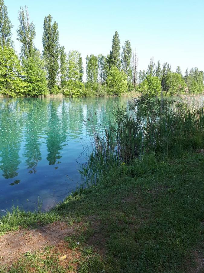 Il Glicine Sul Garda Appartamento Turistico Peschiera del Garda Eksteriør billede
